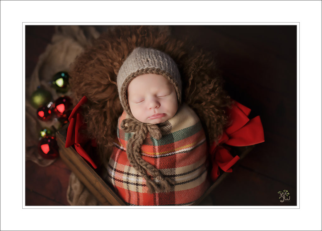 Kirkland baby photography